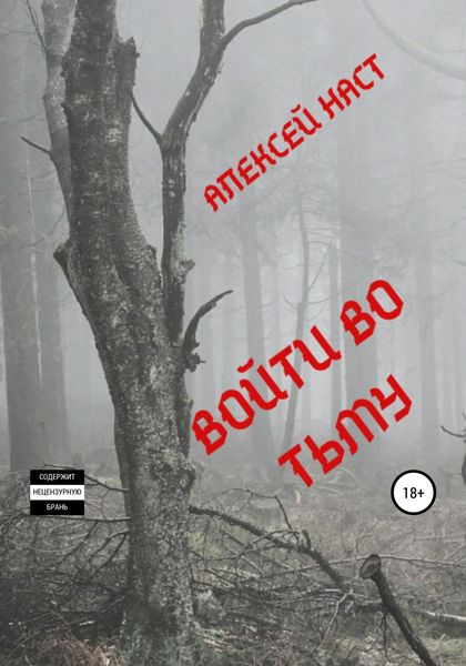 Обложка книги «Войти во тьму»