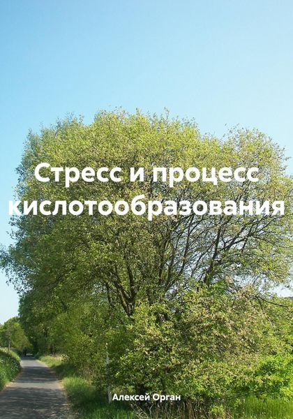 Обложка книги  «Стресс и процесс кислотообразования»