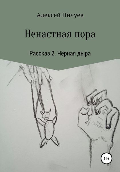 Обложка книги  «Ненастная пора. Рассказ 2. Чёрная дыра»