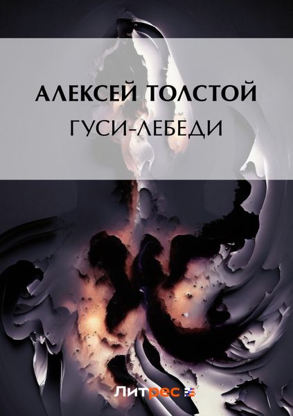 Обложка книги  «Гуси-лебеди»