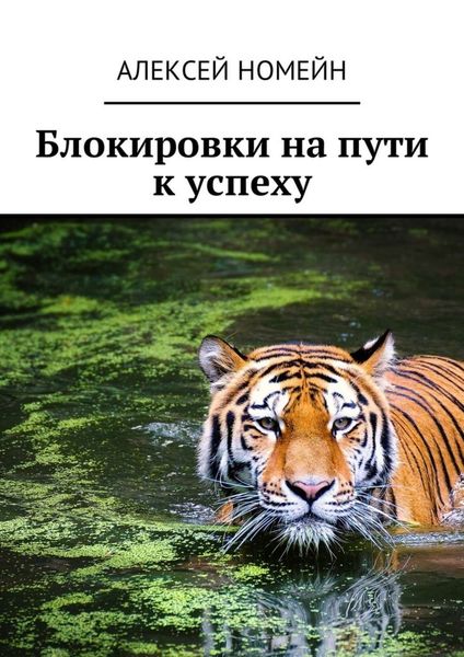Обложка книги «Блокировки на пути к успеху»