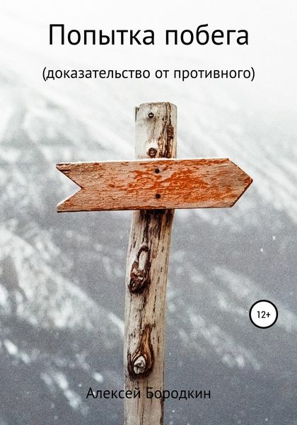 Обложка книги  «Попытка побега»