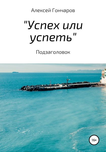 Обложка книги ««Успех или успеть»»