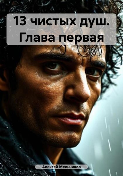 Обложка книги  «13 чистых душ. Глава первая»