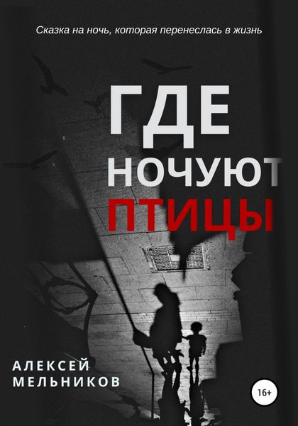 Обложка книги  «Где ночуют птицы»