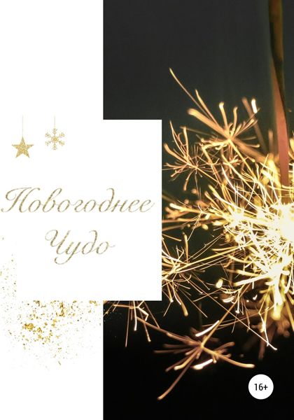 Обложка книги  «Новогоднее чудо»