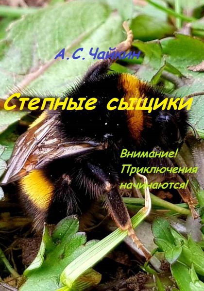 Обложка книги «Степные сыщики»