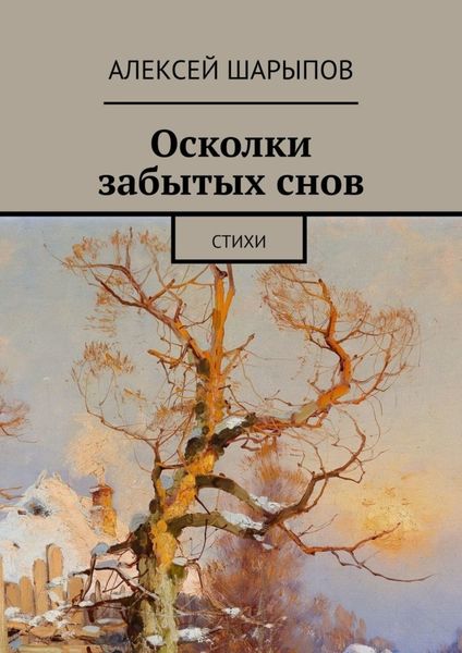 Обложка книги  «Осколки забытых снов. Стихи»