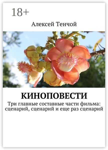 Обложка книги  «Киноповести. Три главные составные части фильма: сценарий, сценарий и еще раз сценарий»