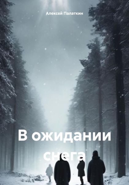Обложка книги «В ожидании снега»