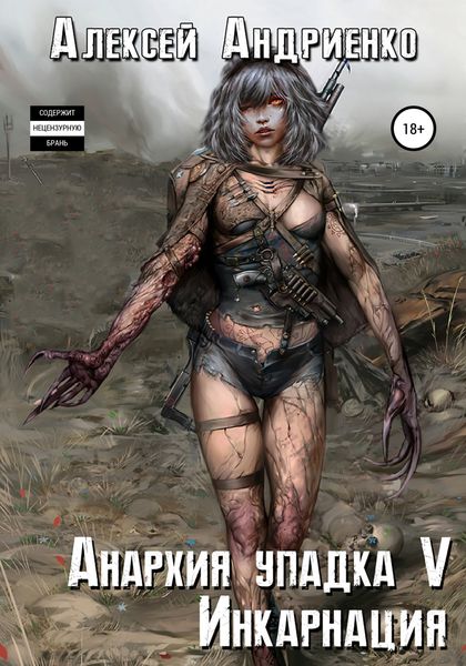 Обложка книги  «Анархия упадка 5. Инкарнация»
