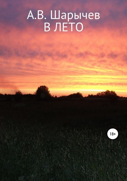 Обложка книги  «В Лето»
