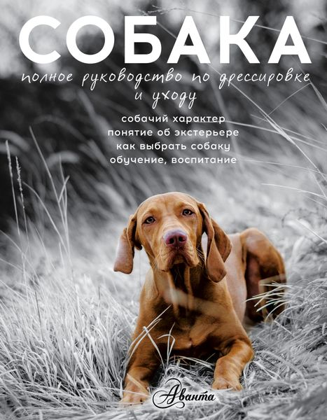 Обложка книги «Cобака. Полное руководство по дрессировке и уходу»