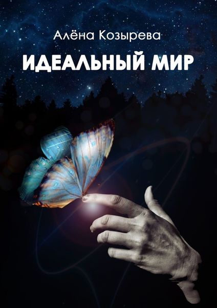 Обложка книги «Идеальный мир»