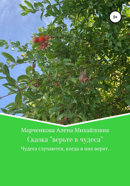 Обложка книги  «Сказка «Верьте в чудеса»»