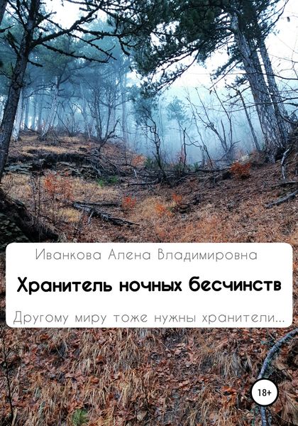 Обложка книги «Хранитель ночных бесчинств»