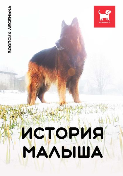 Обложка книги «История Малыша»
