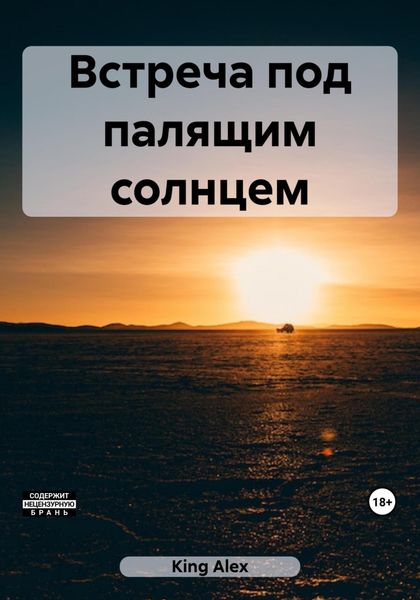 Обложка книги  «Встреча под палящим солнцем»