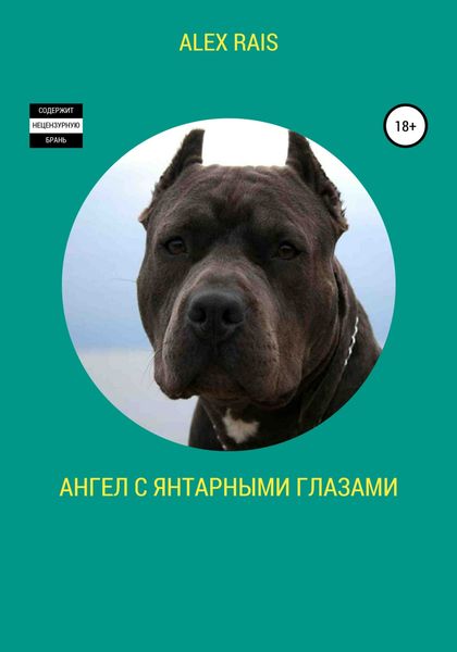 Обложка книги  «Ангел с янтарными глазами»