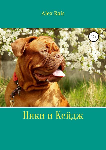 Обложка книги  «Ники и Кейдж»