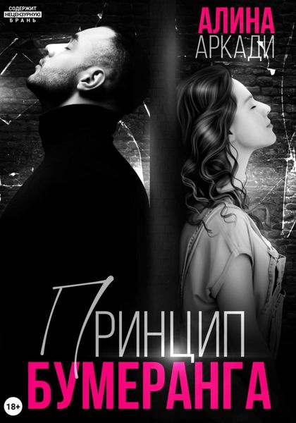 Обложка книги  «Принцип бумеранга»