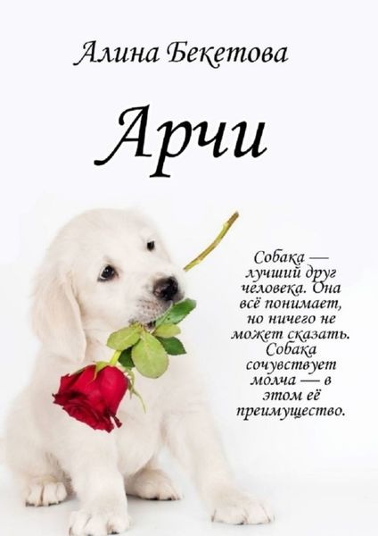 Обложка книги  «Арчи»