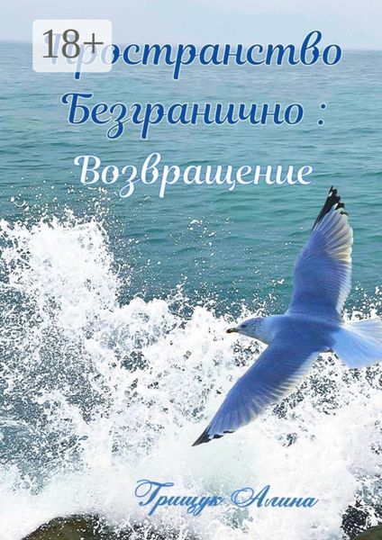 Обложка книги «Пространство безгранично: Возвращение»