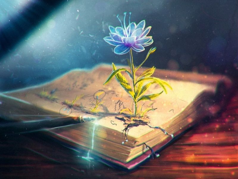 Обложка книги  «Истина тринадцати господ»
