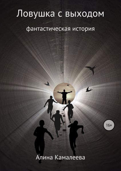Обложка книги  «Ловушка с выходом»