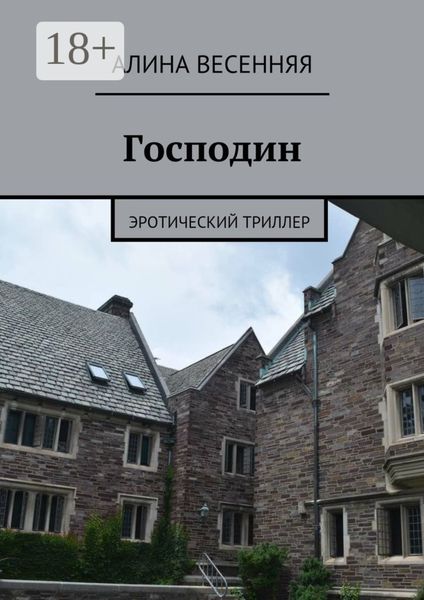 Обложка книги «Господин. Эротический триллер»