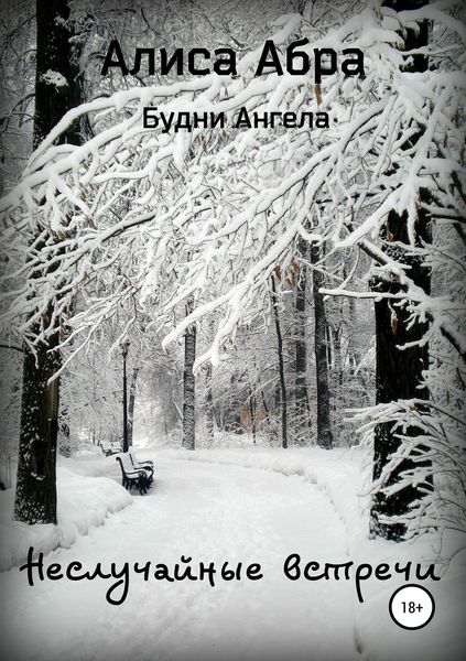 Обложка книги  «Неслучайные встречи»