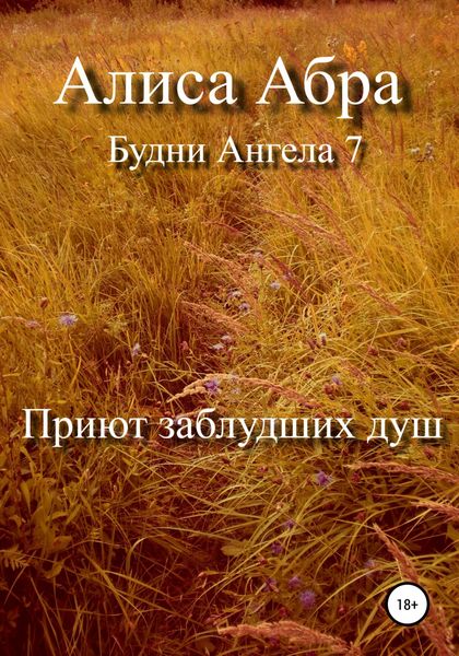Обложка книги  «Приют заблудших душ»
