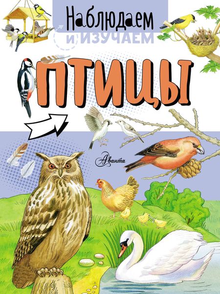 Обложка книги «Птицы»