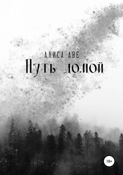 Обложка книги  «Путь домой»