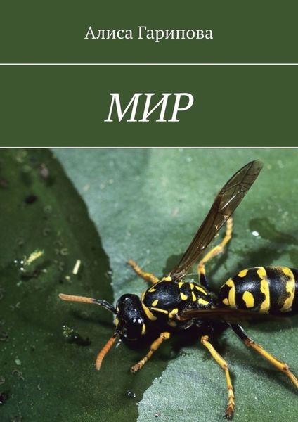 Обложка книги  «Мир»