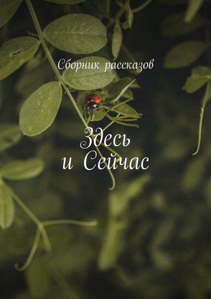 Обложка книги  «Здесь и сейчас»