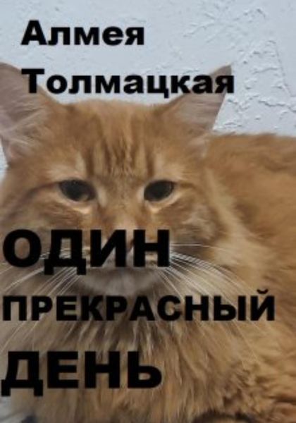Обложка книги  «Один прекрасный день»
