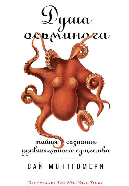 Обложка книги  «Душа осьминога: Тайны сознания удивительного существа»