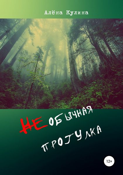 Обложка книги  «НЕобычная прогулка»