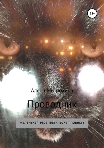 Обложка книги  «Проводник»