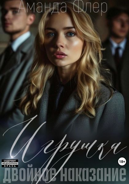 Обложка книги  «Игрушка. Двойное наказание»