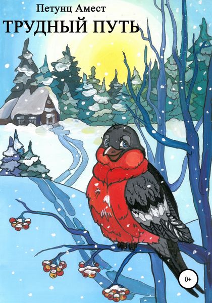 Обложка книги  «Трудный путь»