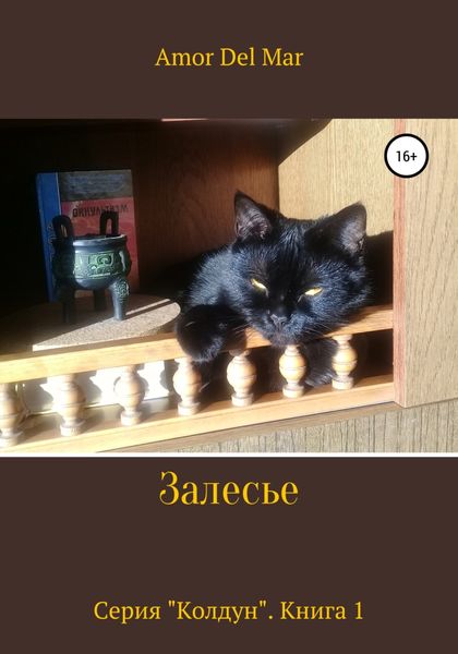 Обложка книги  «Залесье»