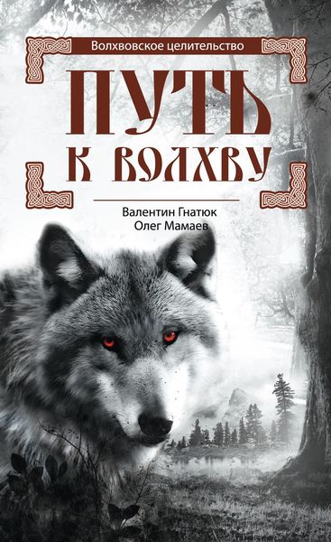 Обложка книги  «Путь к волхву»