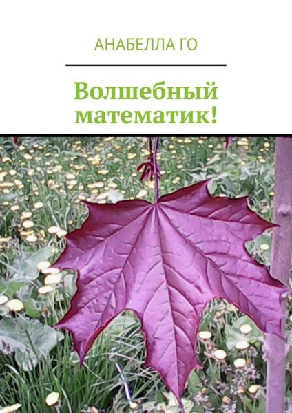 Обложка книги  «Волшебный математик!»