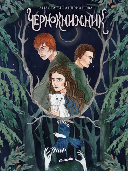 Обложка книги «Чернокнижник»