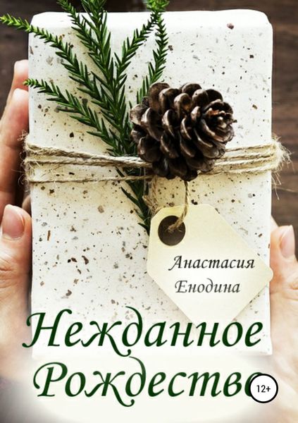 Обложка книги  «Нежданное Рождество»