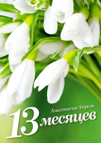 Обложка книги  «13 месяцев»