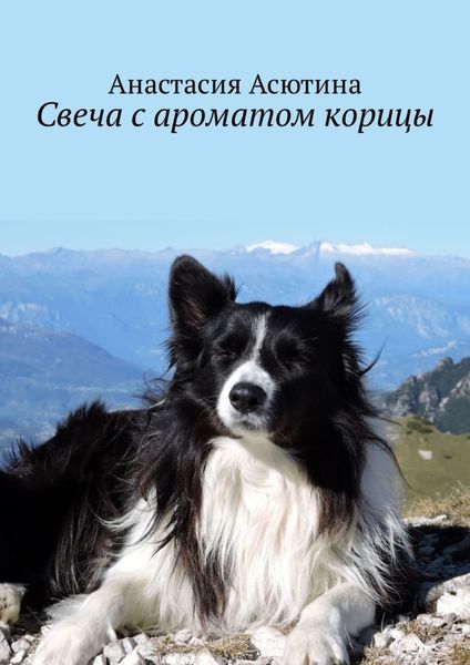 Обложка книги  «Свеча с ароматом корицы»