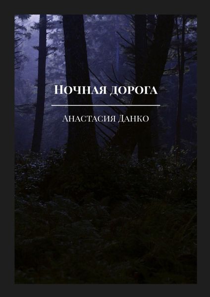 Обложка книги «Ночная дорога»